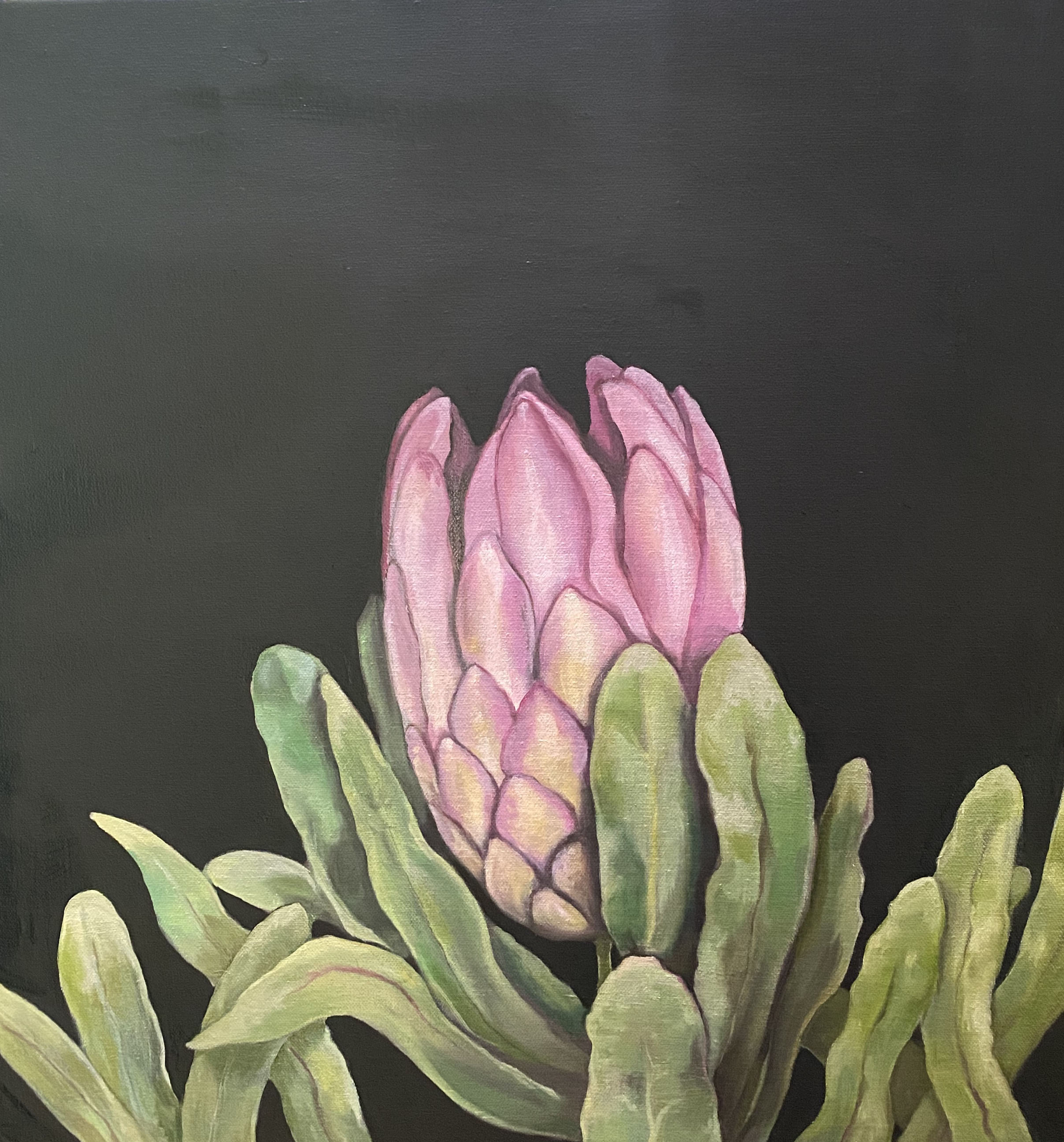Brave Flower