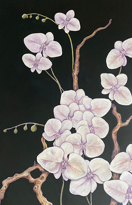 Moody Orchids