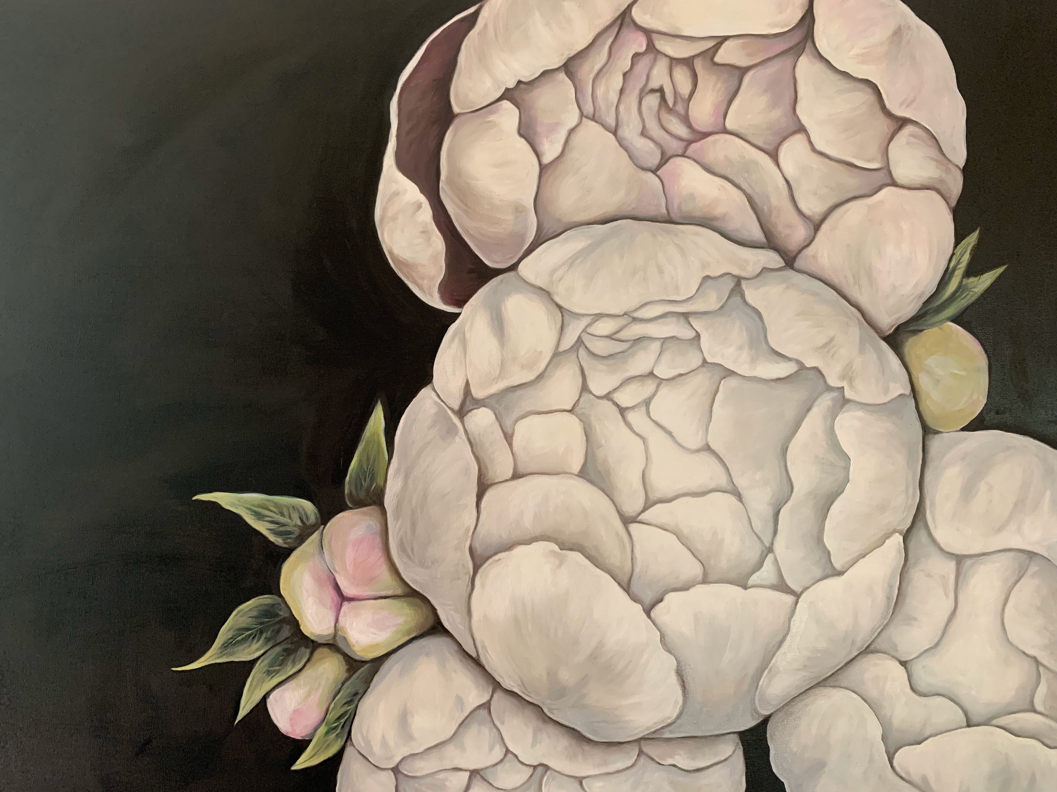 Peonies
