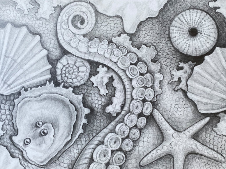 Sea Life